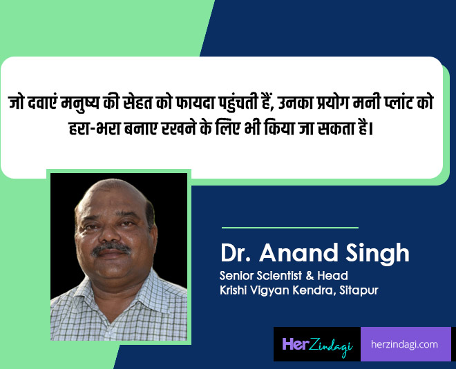 expert  tips  on  money  plant  care  in  winter  season