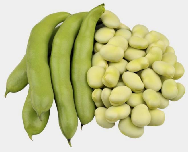 Fava Beans Benefits for Health In Hindi | fava beans benefits for ...