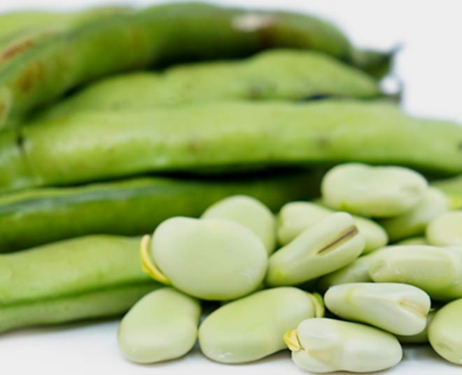 Fava Beans Benefits for Health In Hindi | fava beans benefits for ...