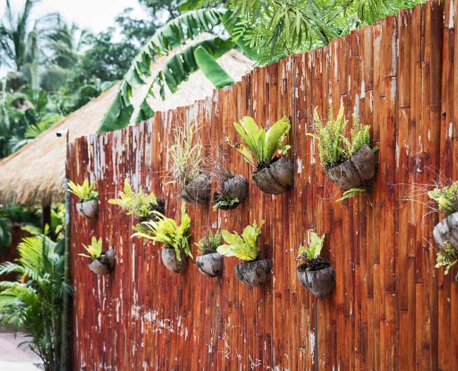 garden at home inside 
