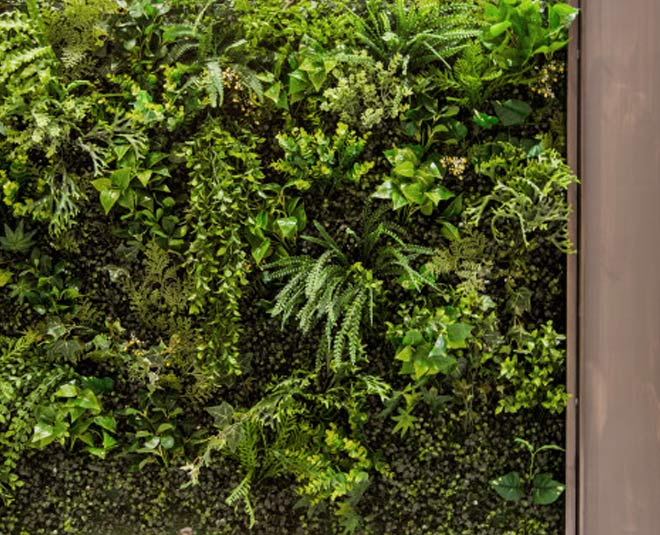 garden at home inside 