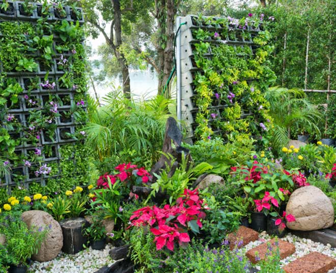 garden at home inside 