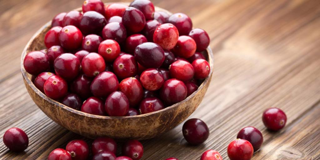 health-benefits-of-cranberry-in-hindi