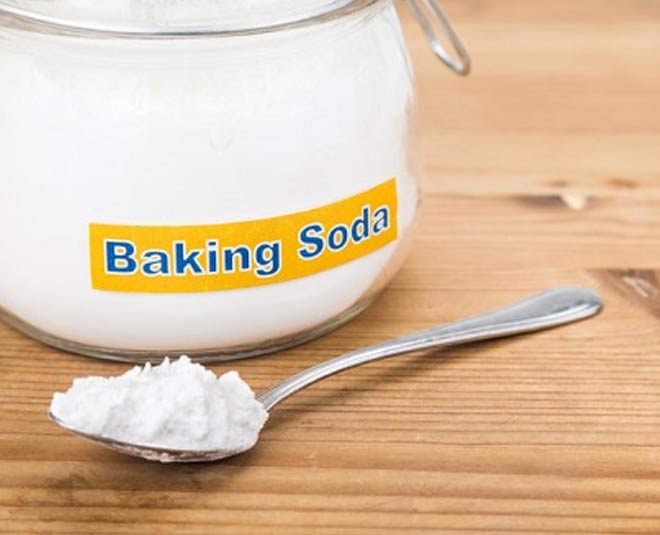 how to remove wild insects from gardens inside 