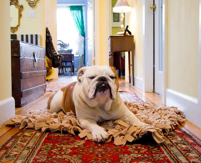 maintain rug in winter inside 