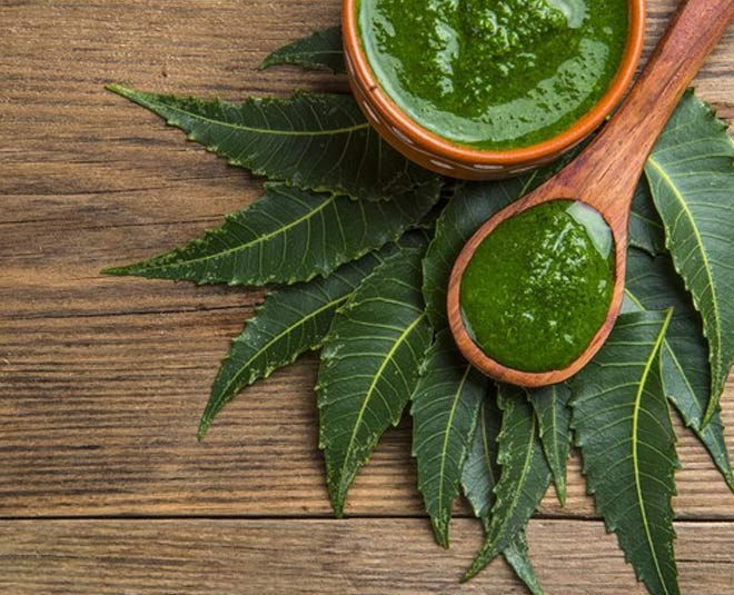 Side Effects Of Neem For Health In Hindi side effects of neem for