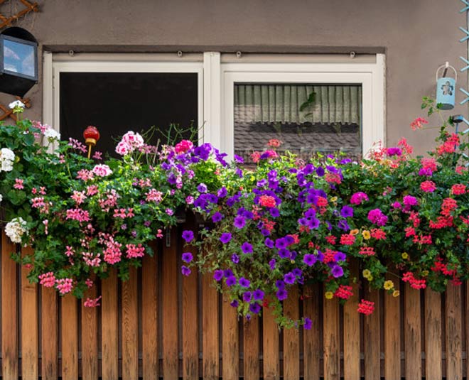 new garden at home inside 