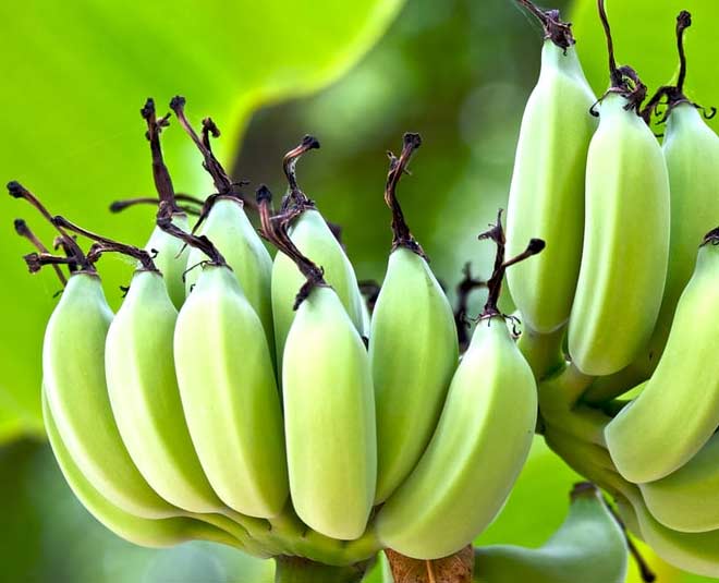 raw banana benefits for health in 