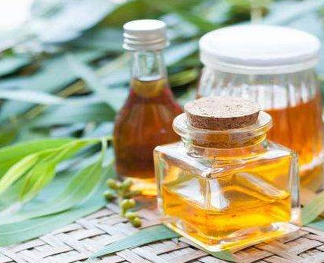 remove wild insects from gardens inside 