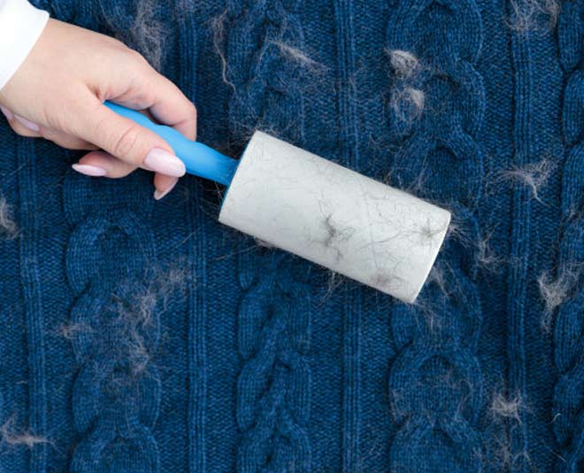 Different Ways To Use Lint Roller Besides On Clothes In Hindi