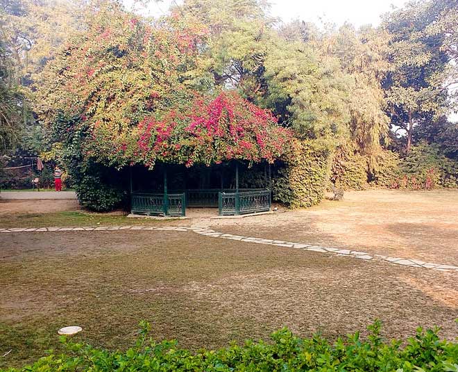 unchagaon in weekend