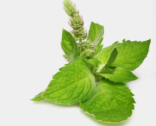 Green Tea with herbs