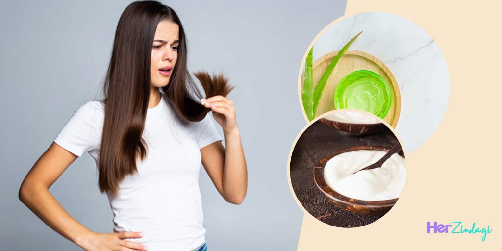 Best Natural Hair Conditioners For Dry Hair In Hindi best natural