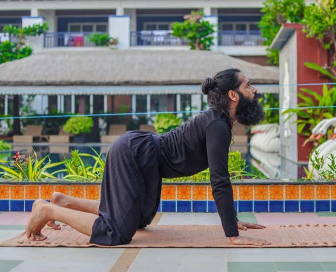 Urdhva Mukhi Marjari Asana