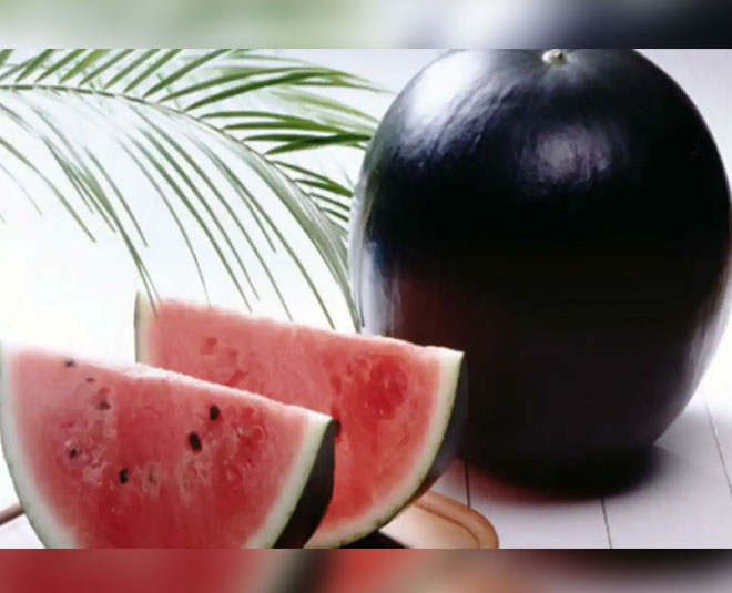 about most expensive watermelon densuke