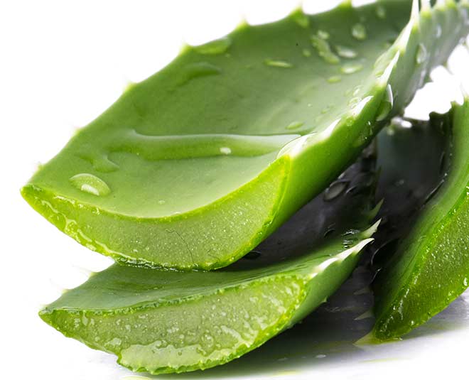 aleo vera jel for hair