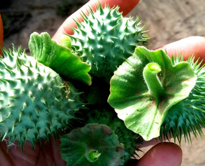 astro  tips  for  getting  rich