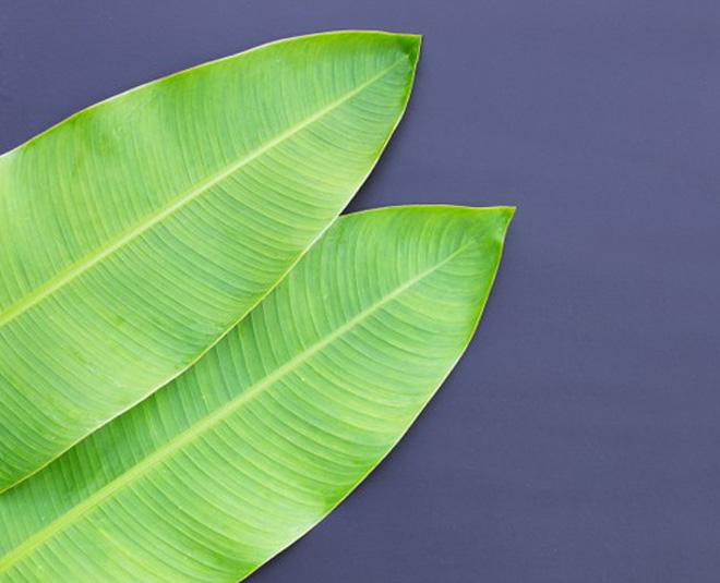 banana leaf benefits for health