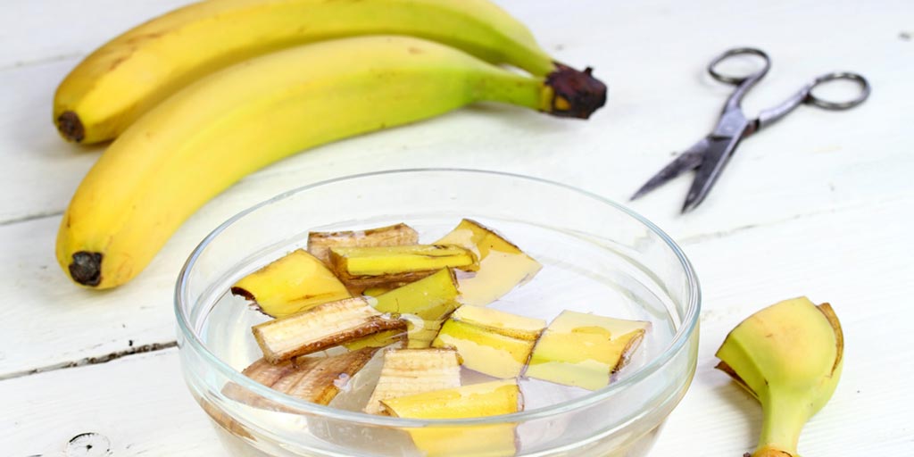 Expert Tips Banana Peel Water Benefits Expert Tips केले के छिलके के