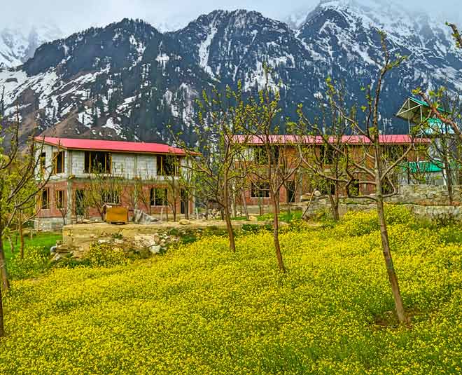 best places to visit kothi village manali