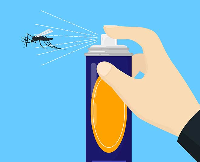 bhang leaf natural homemade insect spray