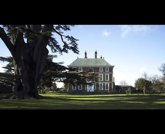 big tree near home vastu dosh