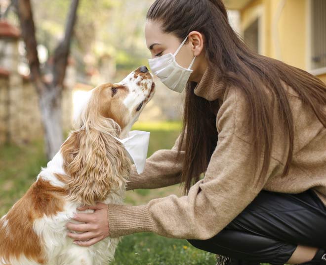 coffee for pets scrub