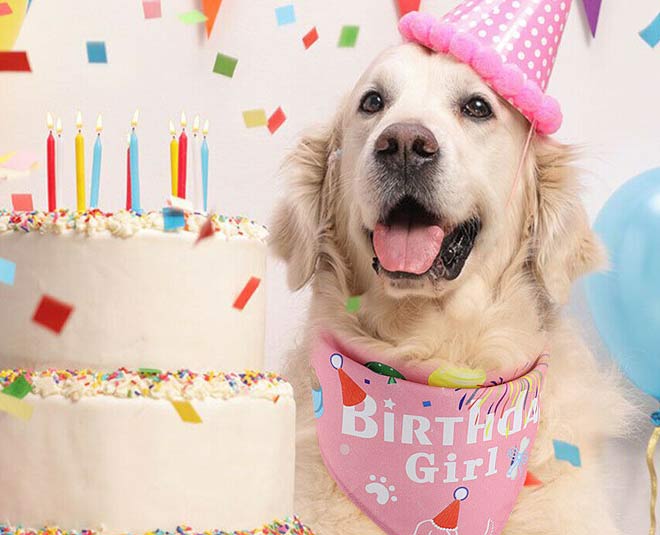 dog birthday party ideas main