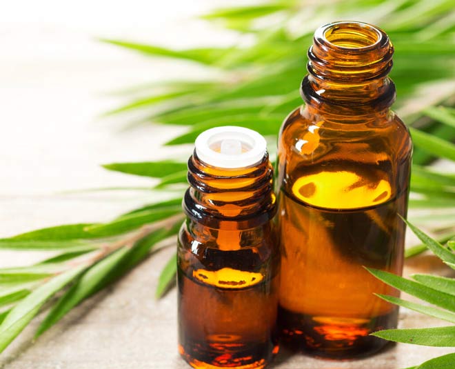 Read About The Must Have Essential Oils | HerZindagi