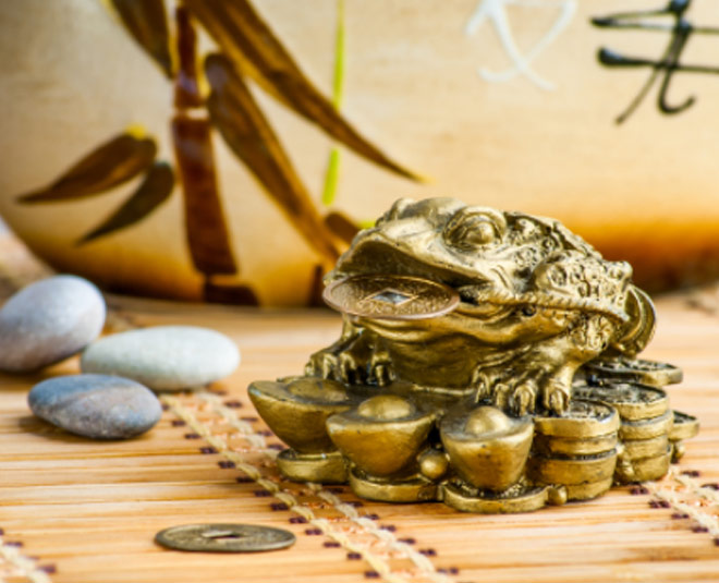 feng shui frog