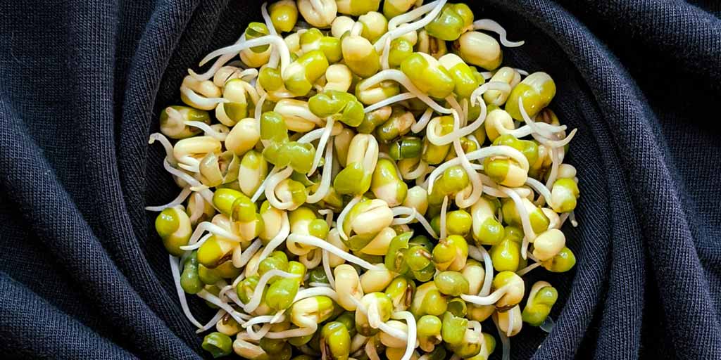 Moong Dal Sprouts Health Benefits By Expert In Hindi moong dal