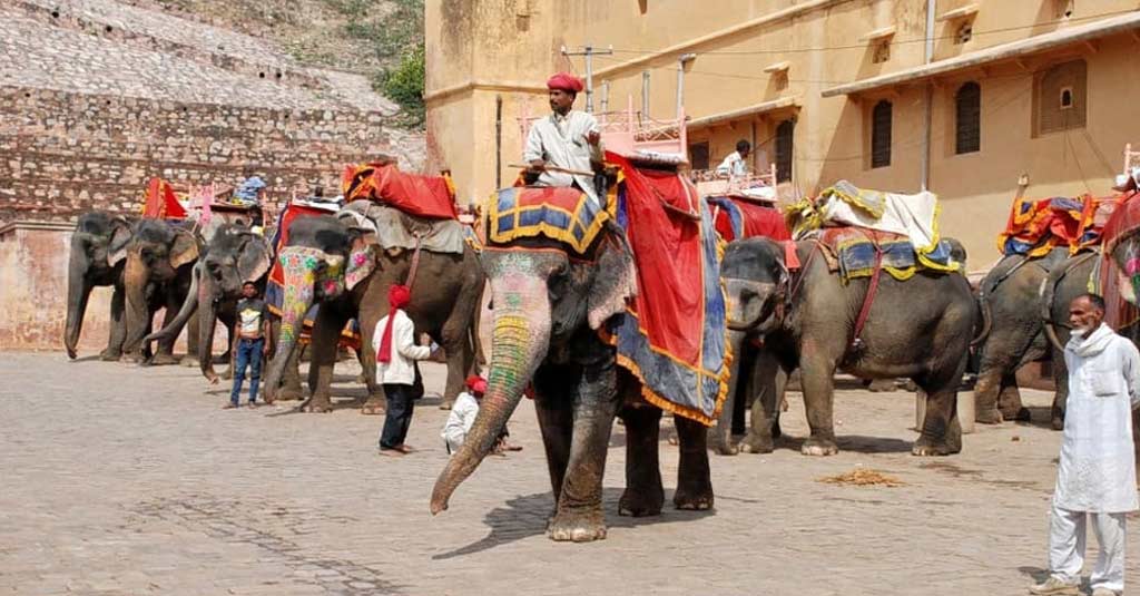 Here Is All You Need To Know About Hathi Gaon In Jaipur-Here Is All You ...
