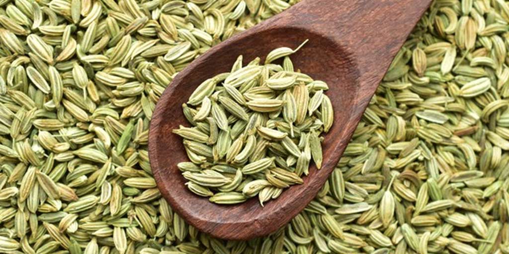 Add Fennel Seeds To Your Daily Diet With This GuideAdd Fennel Seeds To