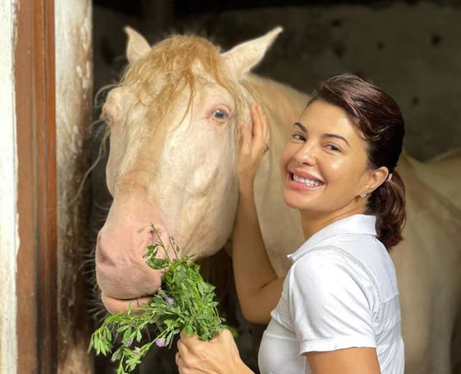 jacqueline fernandez