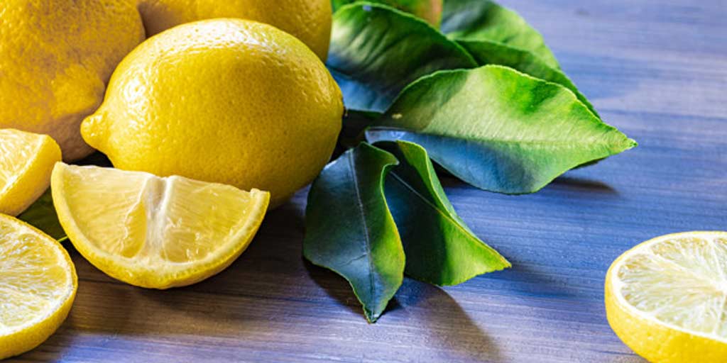 Health Benefits Of Lemon Leaves In Hindiक्या आप जानते हैं नींबू के फल