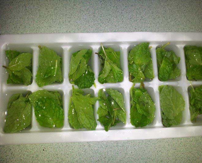 mint storing in ice cube