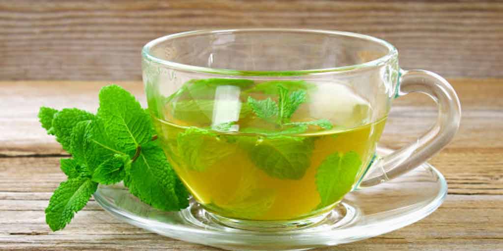 10 Health Benefits Of Peppermint Tea By Expert In Hindi