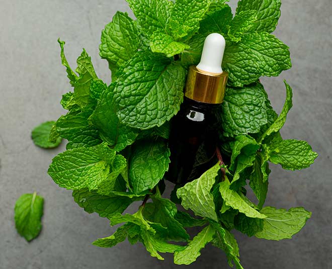 peppermint oil for get rid of big ants