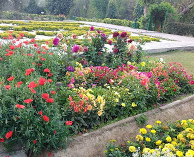 rose garden tourist places in  bathinda