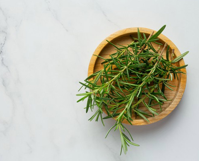 rosemary plant for positivity