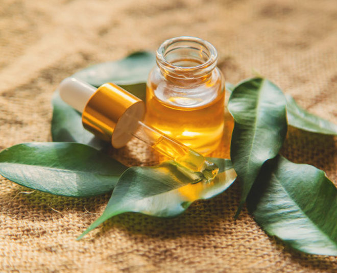 tea tree oil