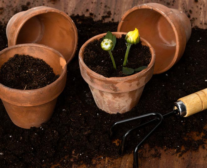 test of soil for garden