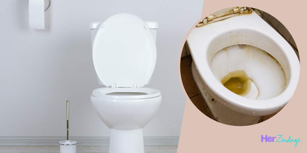 Things to Clean and Disinfect Toilet Seat and Bowl इन 4 अद्भुत चीजों