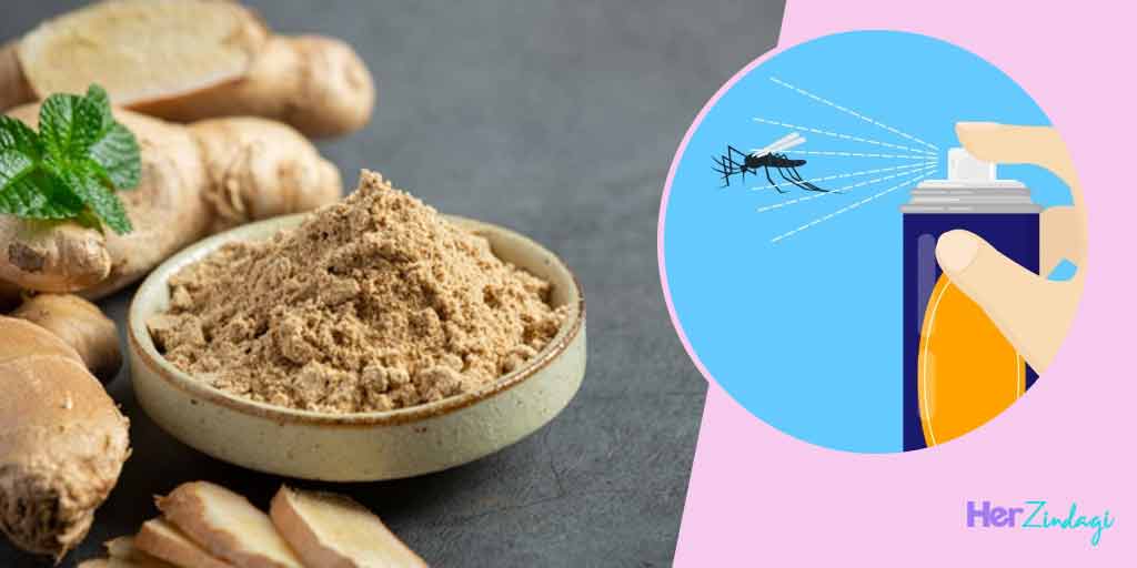 Ginger Powder Natural Pesticide Spray In Hindiअदरक के पाउडर से इस तरह