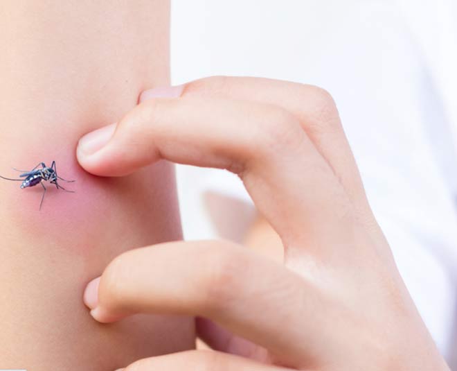 मॉस्किटो बाइट में राहत पहुंचाती है uses of aspirin tablets for insect bite