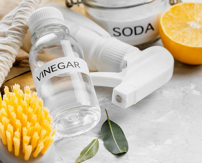 vinegar  for get rid of big ants