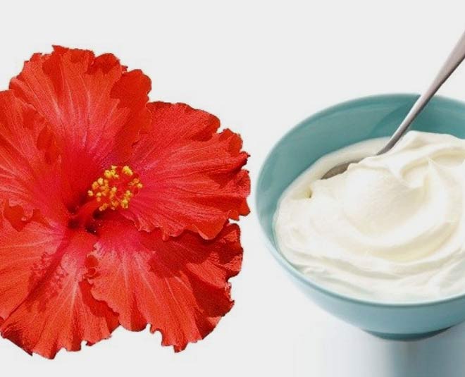 Make Hibiscus Hair Masks At Home For Healthy Hair HerZindagi