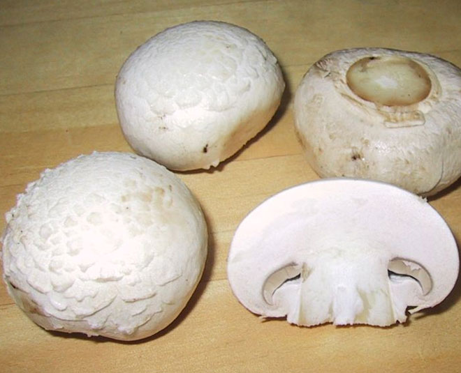 Know About Types Of Edible Mushroom Found In India