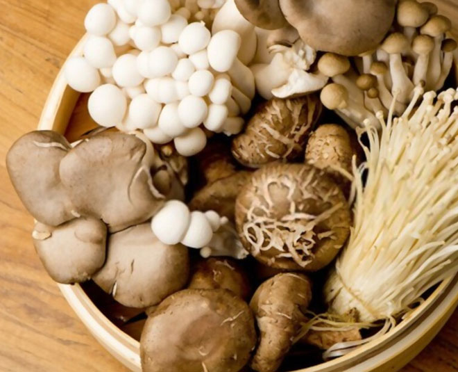 Know About Types Of Edible Mushroom Found In India