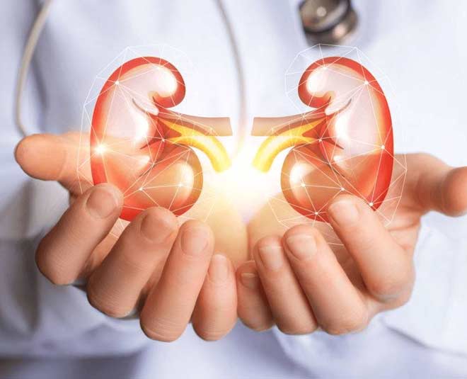  functions of the kidney acid base balance